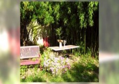 Dans Un Jardin