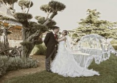 Fotoestudio Dedi