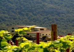 Hotel La Heredad Mas Collet****