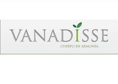 Vanadisse 