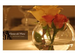 Restaurante Viento De Plata 