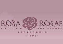 Rosa Rosae 