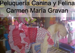 Peluqueria Canina Y Felina Carmen Maria Gravan Cruz 