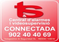 Telegestion Y Seguridad