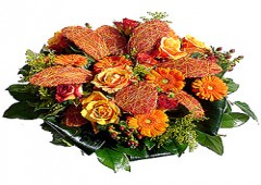 Flores Pili