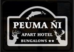 Apart Hotel Peuma Ñi