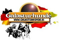 Galasturhunde.es 