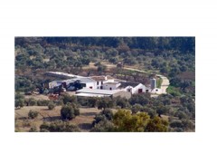 Molino El Salado 