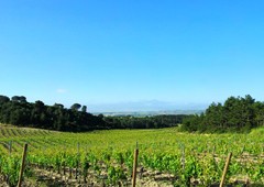 Bodega Viñedos Del Ternero - La Rioja