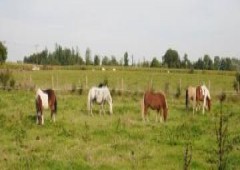 Gîte de Villers