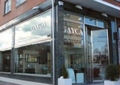 Reformas Gayca