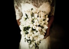 Javier Fergo Photography
